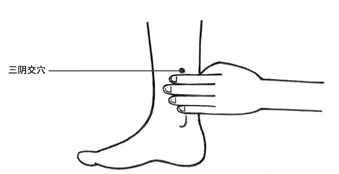 三阴交穴在哪里，怎么艾灸针灸？健康的“守护穴”