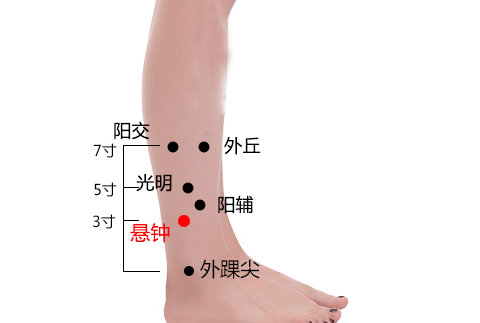 悬钟穴位置作用与功效，各种疗法及注意事项