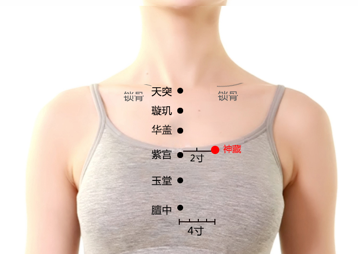 神藏穴位置作用与功效，各种疗法及注意事项