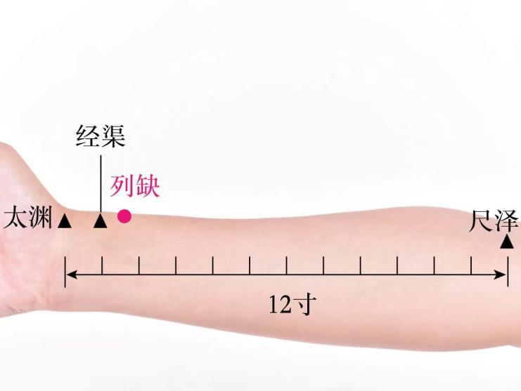 列缺穴位置作用与功效，各种疗法及注意事项